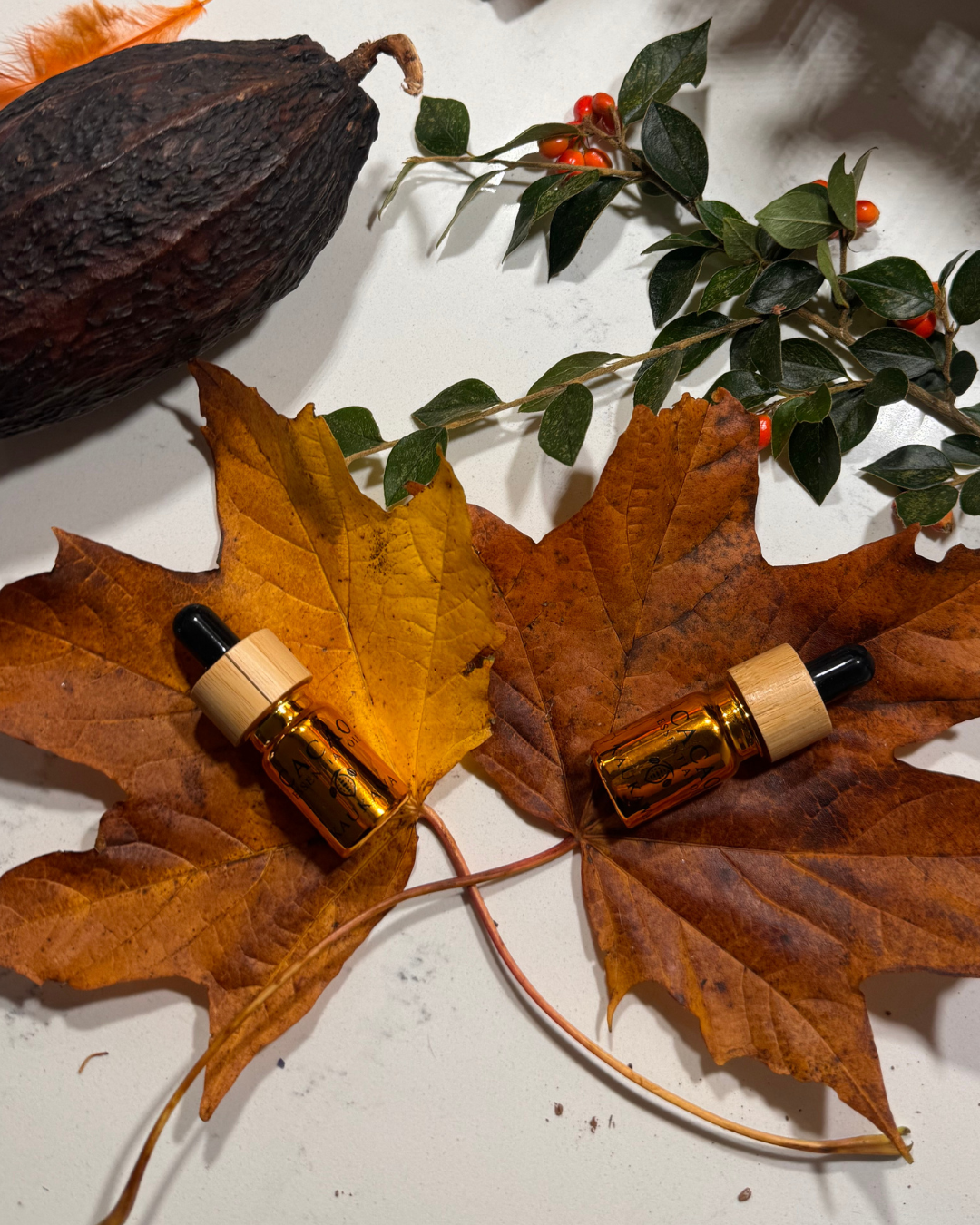 Cacao essential oil in a 5ml bottle made from Chuncho cacao beans